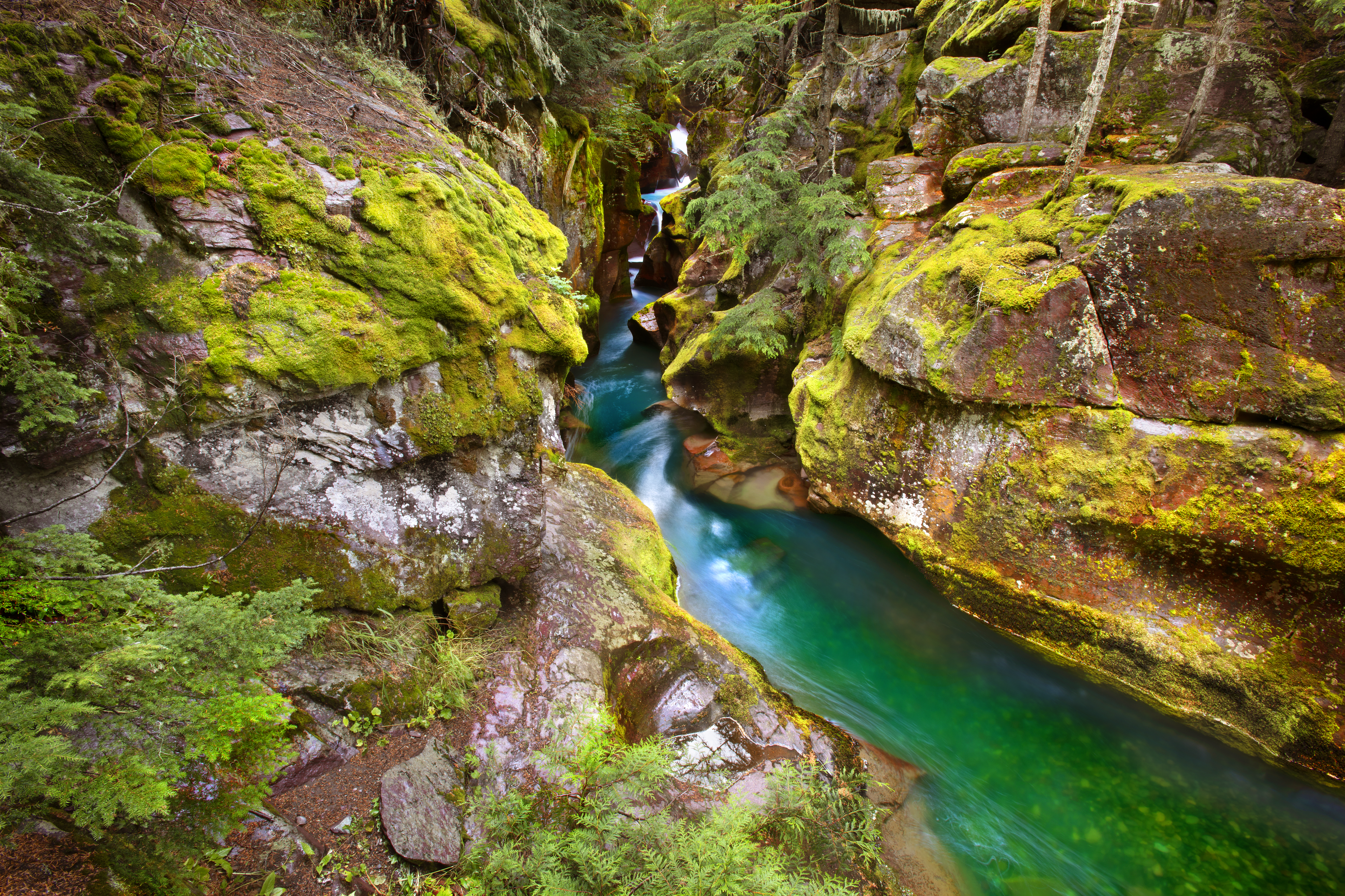 Mountain creek flowing through a forested landscape, fine art nature photograph