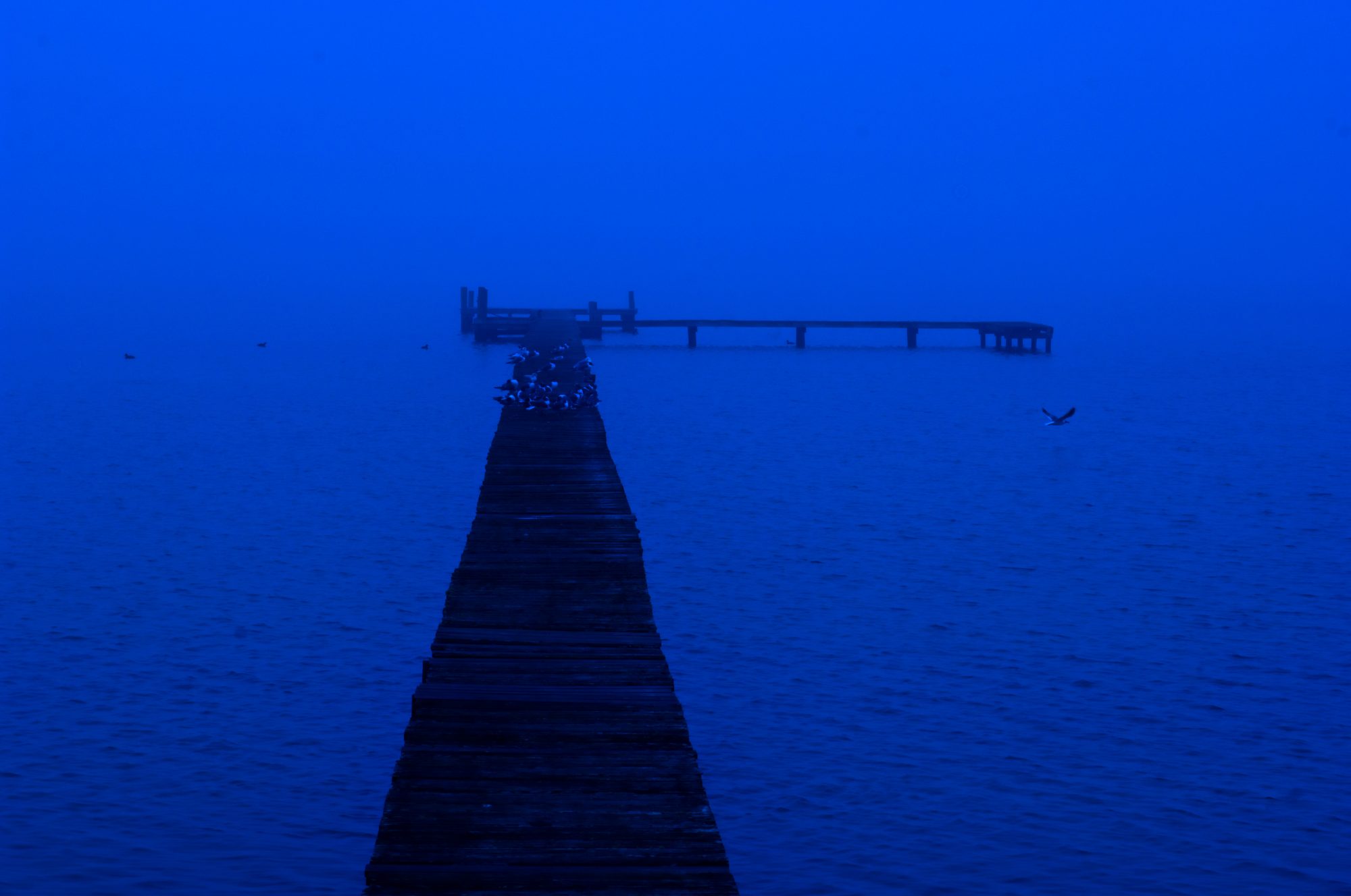 Foggy fishing pier at dawn on the Texas Gulf Coast near Rockport, Texas, with blue hour light, sea fog, calm water, and a lone bird captured as fine art coastal landscape photography by Kevin Vandivier.
