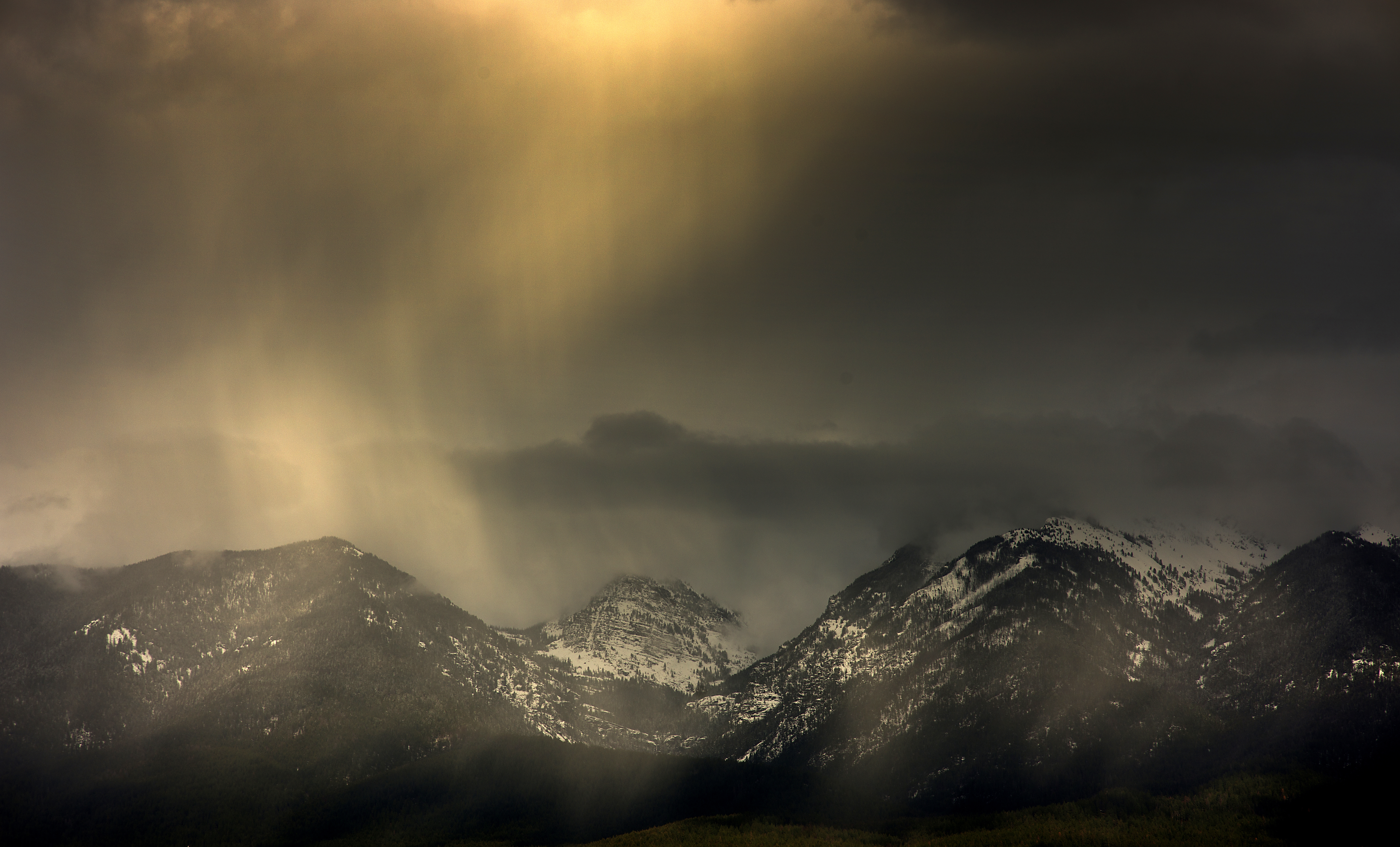 Golden light filtering through a landscape, fine art nature photograph