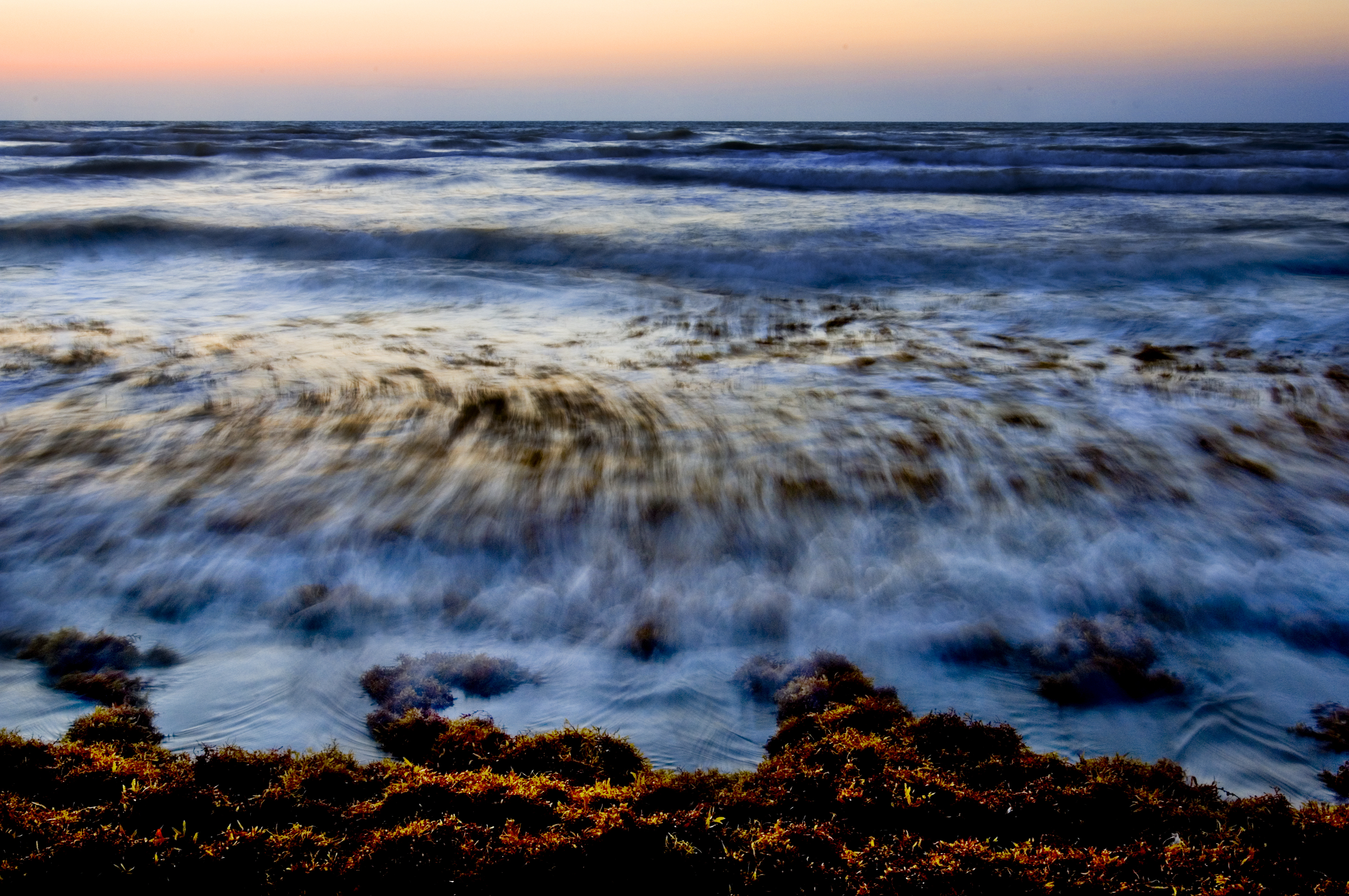 Ocean waves washing seaweed onto the shore at high tide, fine art seascape photograph