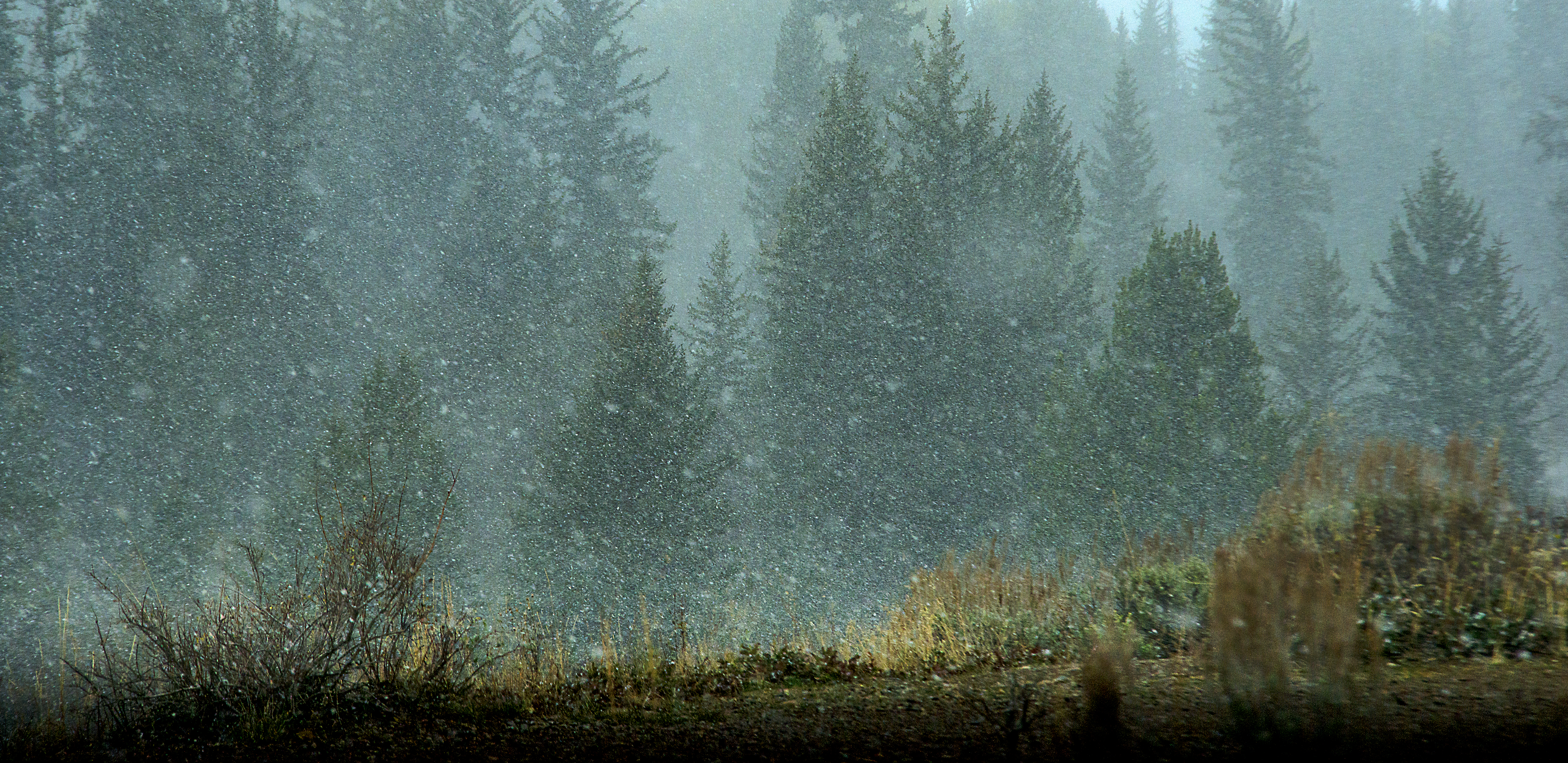 Snow falling softly across a quiet winter landscape, fine art nature photograph